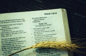 psalm, bible, wheat ear, wheat, bible reading, bible verse, scripture, holy bible, page, reading, book, spirituality, christianity, religion, closeup, psalm, bible verse, bible verse, bible verse, bible verse, bible verse